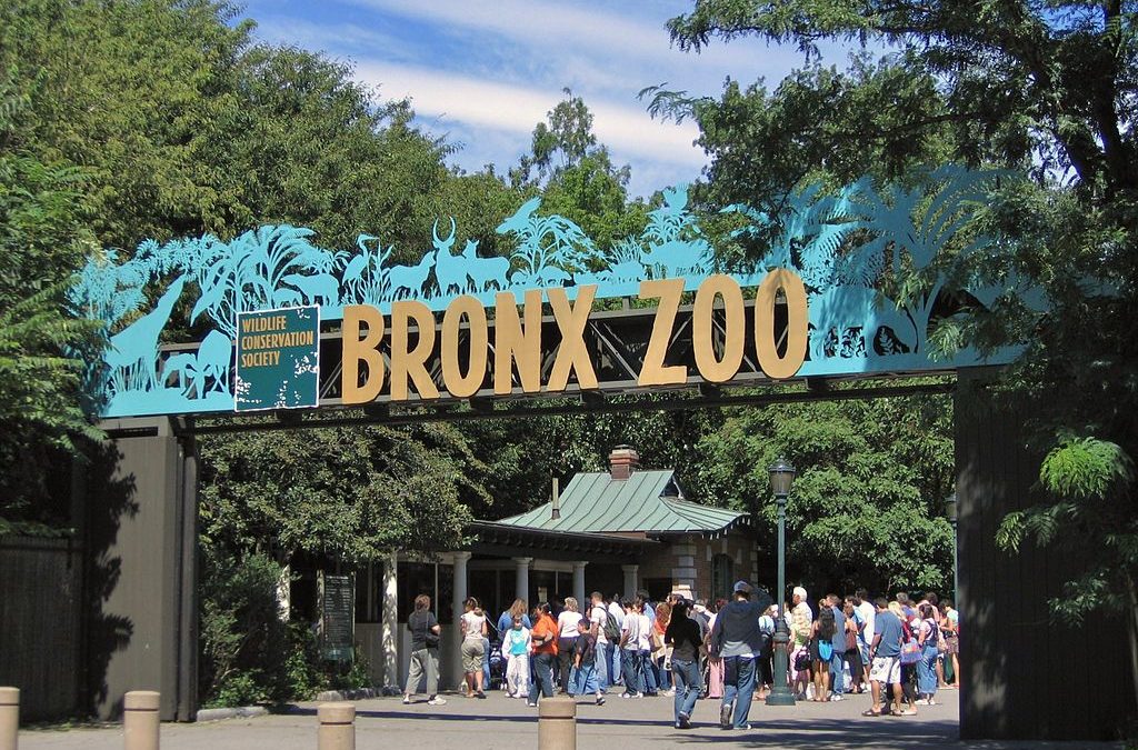 the-bronx-zoo-a-history-bcb-property-management