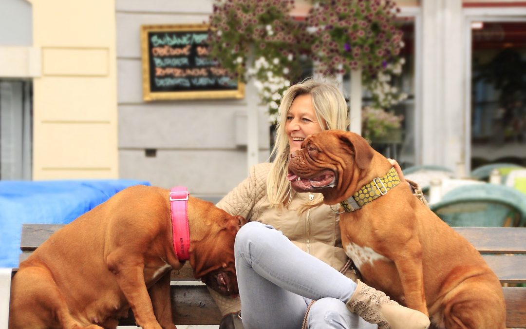The Most Popular Dog Names in New York City (And Which Dogs Have Them)