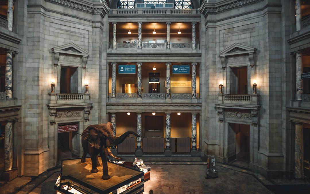 The Museum of Natural History’s Massive, Fantastical Architectural Expansion Plan